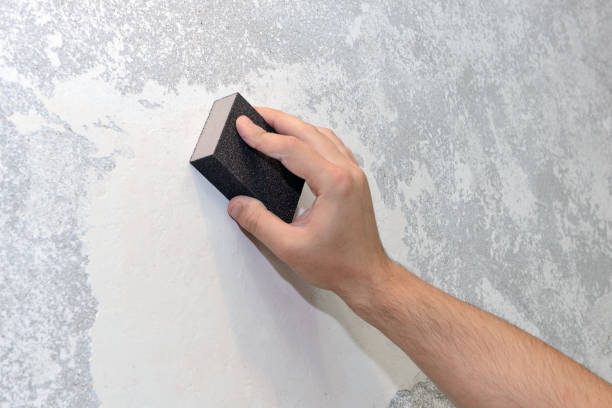 Best Real Estate Mold Inspection  in St James, MD
