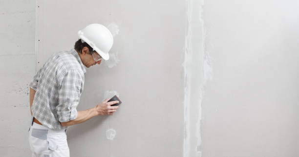 Best Asbestos and Lead Testing During Mold Inspection  in St James, MD