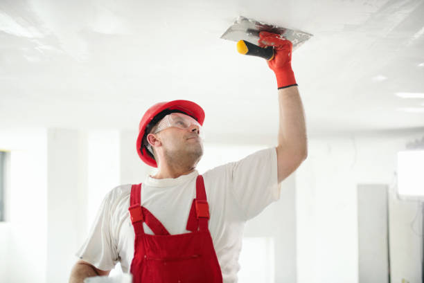 Best Mold-Related Health Consultation  in St James, MD