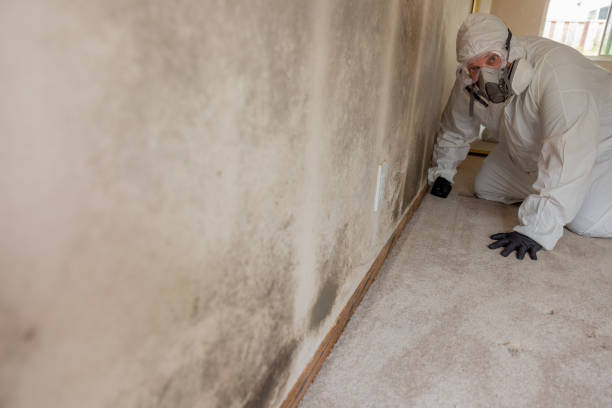 Best Residential Mold Inspection & Testing  in St James, MD