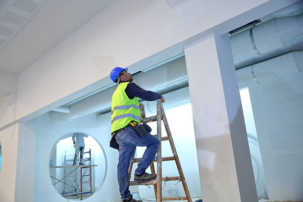 Best Mold Odor Removal Services  in St James, MD